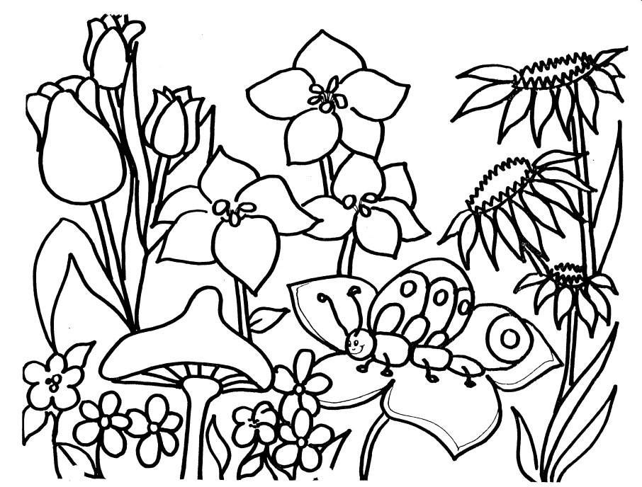 Free Spring Coloring Pages, Download Free Spring Coloring ...