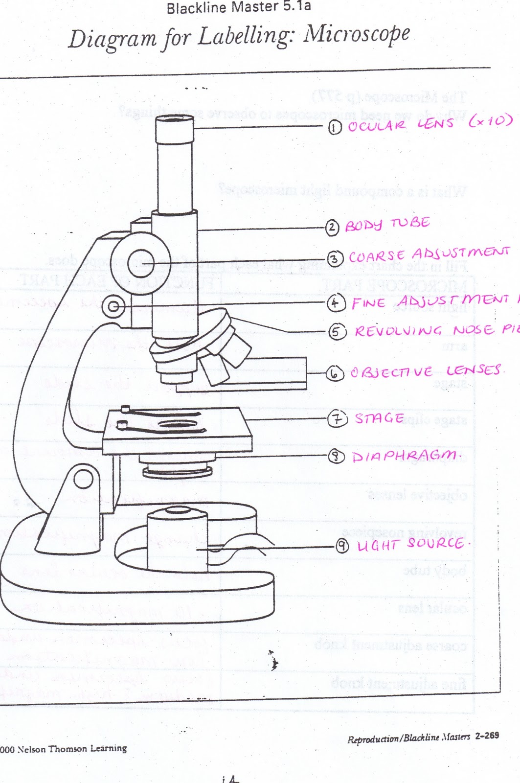 All Saints Online: Diagram for Labelling: Microscope