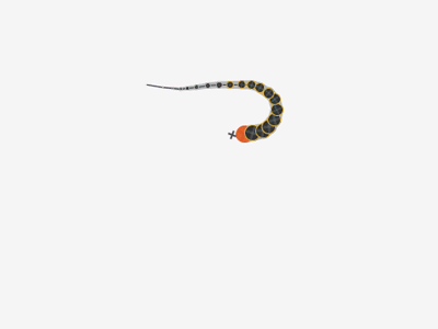 Dribbble - (Animated) Snake by Antonio Kramer Fernandez
