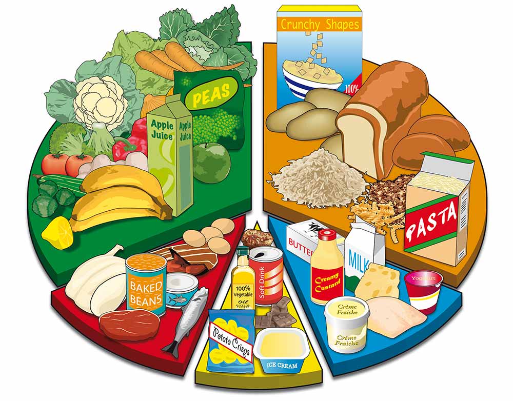 School Project Balanced Diet Chart