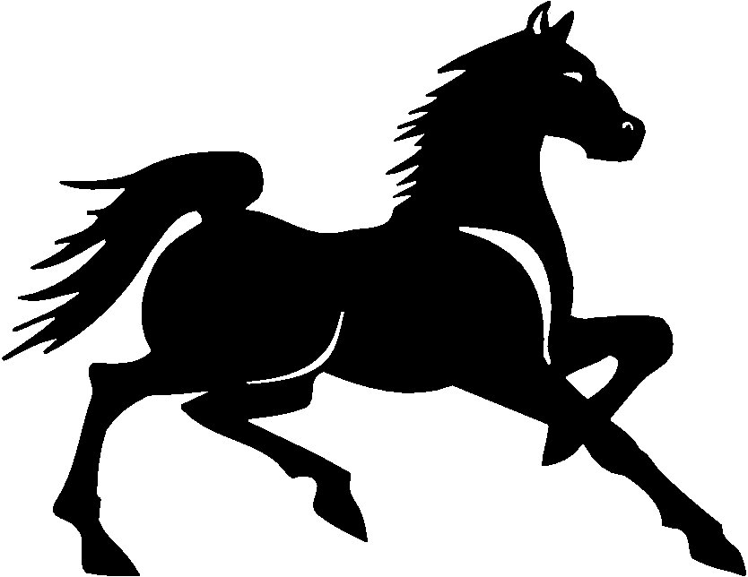 Horses Animal Vinyl Car or WALL Decal Stickers 11, horse decals 