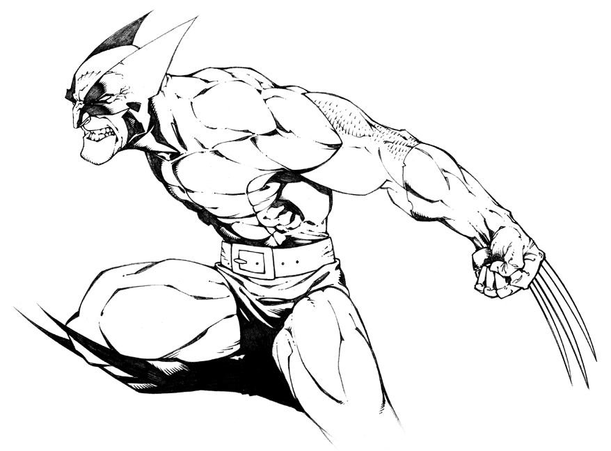 Collection of Wolverine Clipart Black And White (22) .