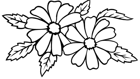 Jasmine Flower Coloring Pages - Flower Coloring pages of 