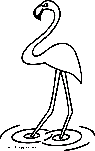 Bird Coloring Page For Toddlers - Flamingo