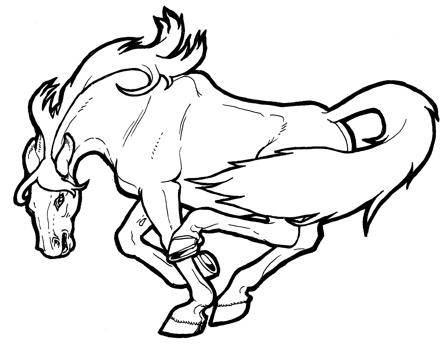 printable mustang horse horse coloring page - Clip Art Library