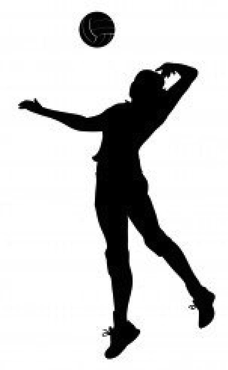 11102553-volleyball-player-schwarz-icons-clip-art | Simo Volley