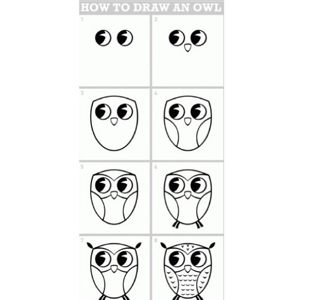 Free How To Draw A Cute Owl, Download Free How To Draw A Cute Owl png