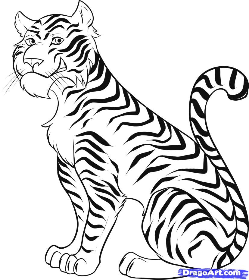 How to Draw a Cartoon Tiger, Step by Step, Rainforest animals 