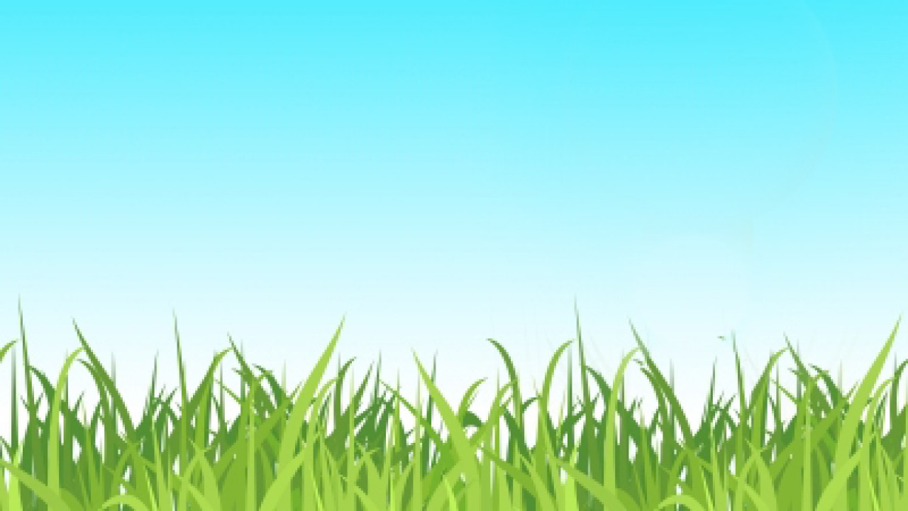 Free Cartoon Grass, Download Free Cartoon Grass png images, Free ClipArts  on Clipart Library