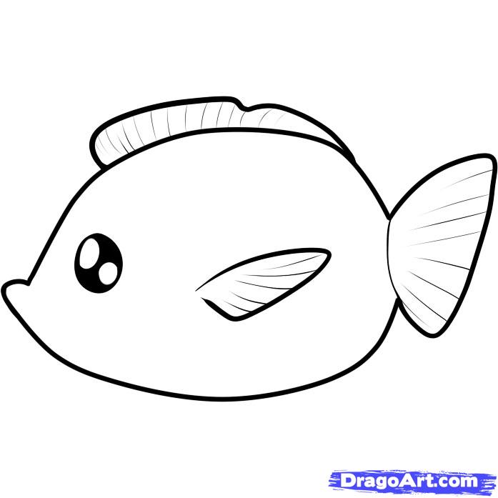 How To Draw A Fish | Viralnova