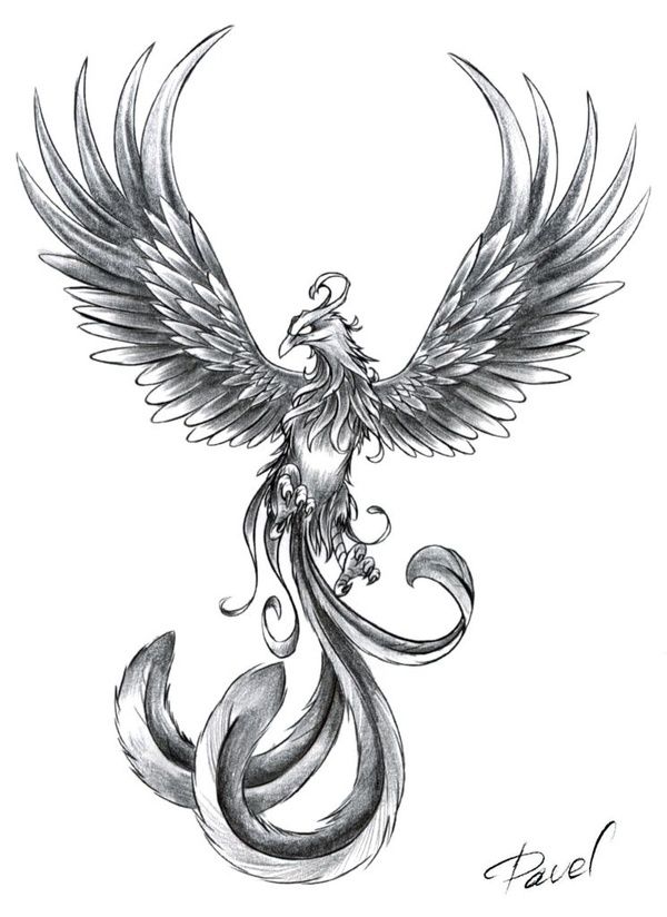 Phoenix tattoo-inspiration. This is beautiful!! I love the tail 
