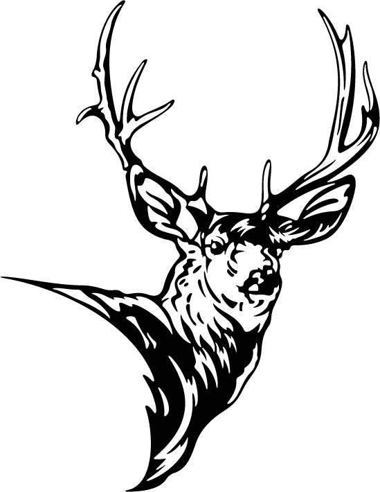 Gallery For  Deer Head Decal