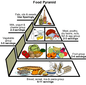 Santa Clara University - The Wellness Center - The Food Guide Pyramid
