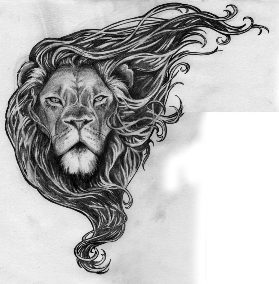Free Lion Head Drawing, Download Free Lion Head Drawing png images