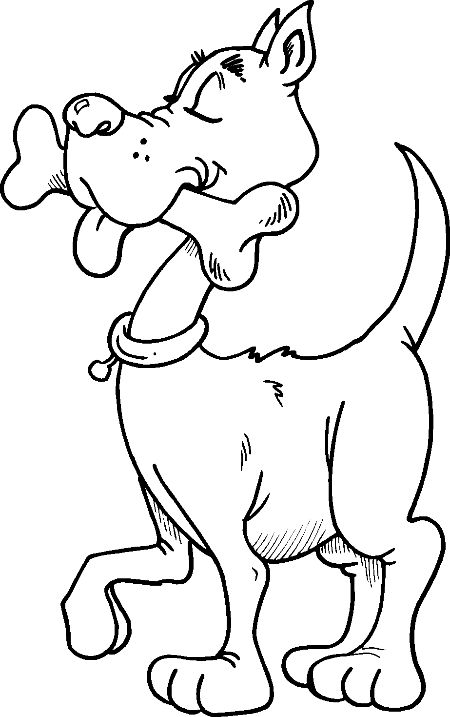 Cartoon Drawings Of Animals - Clipart library