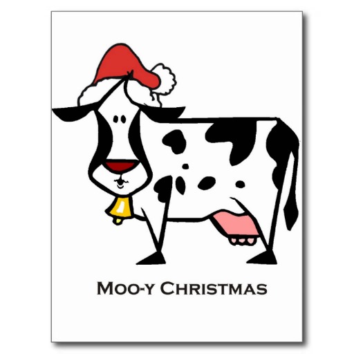 Christmas Cow Postcards, Christmas Cow Post Cards