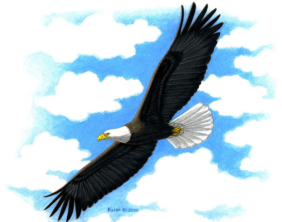 Happy Cartoon Eagle Flying Images  Pictures - Becuo