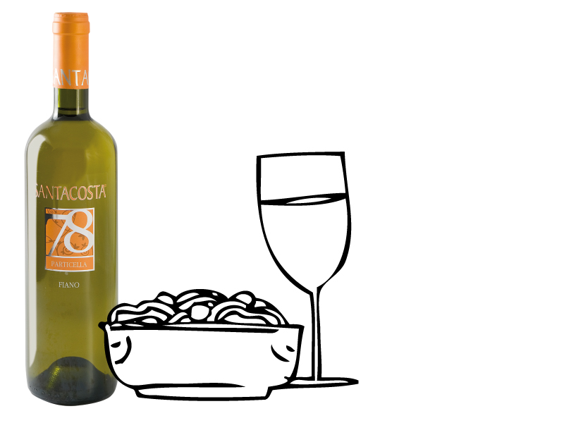 Santacosta - Fiano igt Campania - Drink Cool, Be Cool.