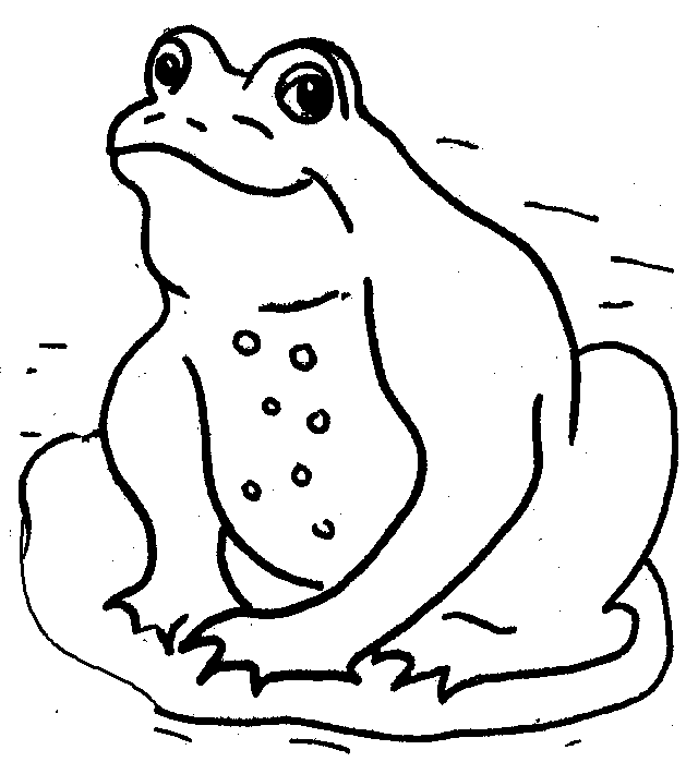 Frog On Lily Pad Coloring Page | Clipart library - Free Clipart Images