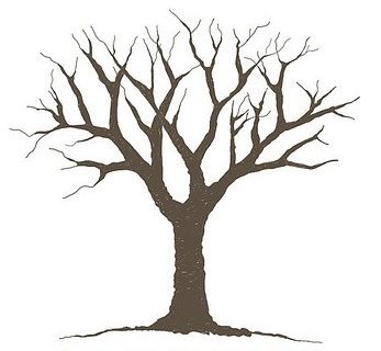 tree without leaves pattern clipart