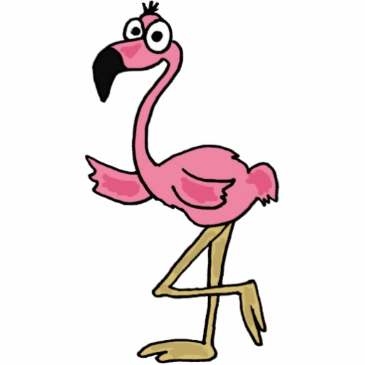 ba cartoon flamingo photo  
