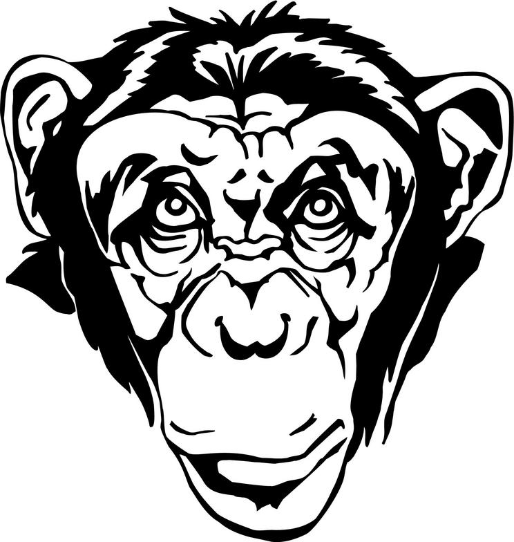 Chimpanzee 20clipart