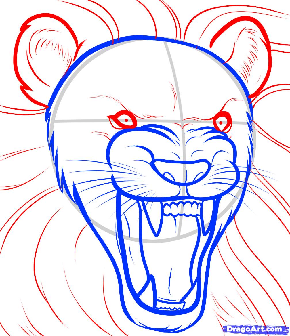 How to Draw a Lion Roaring, Roaring Lion, Step by Step, safari 