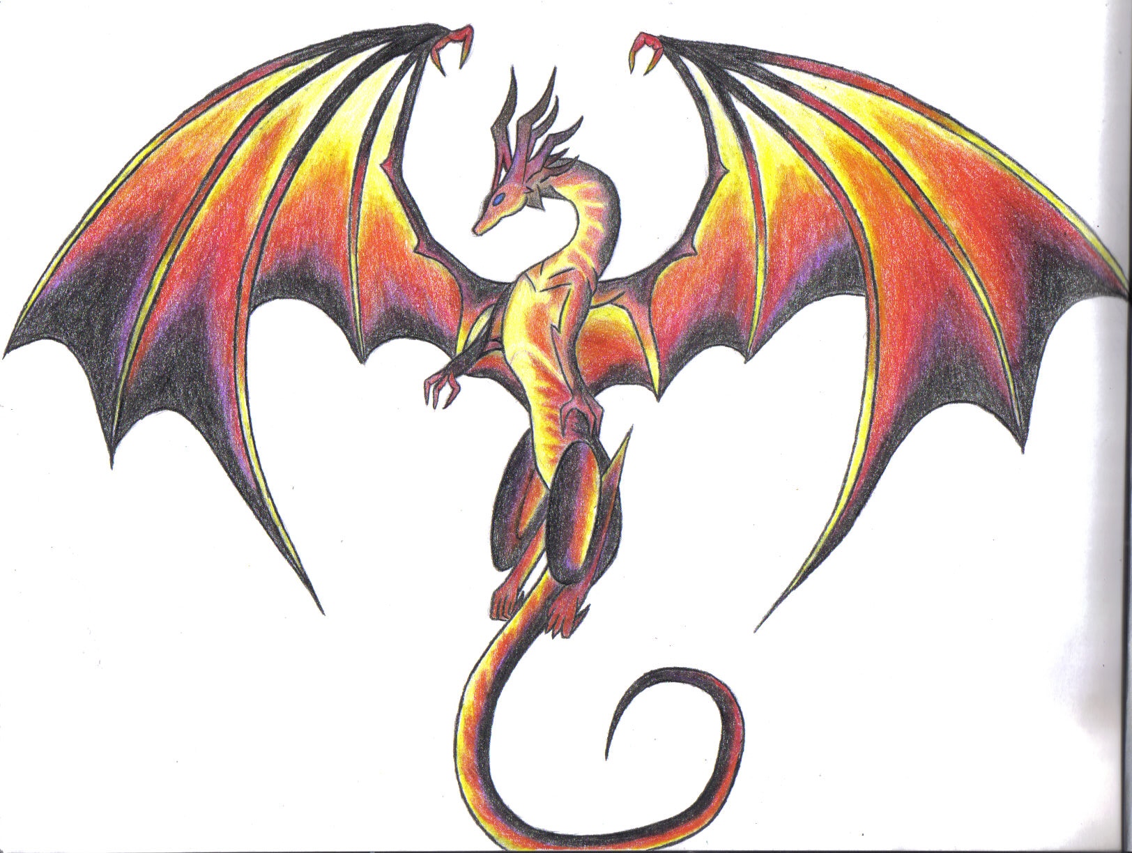 realistic dragon drawing - Clip Art Library