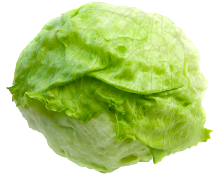 lettuce - KinderSay
