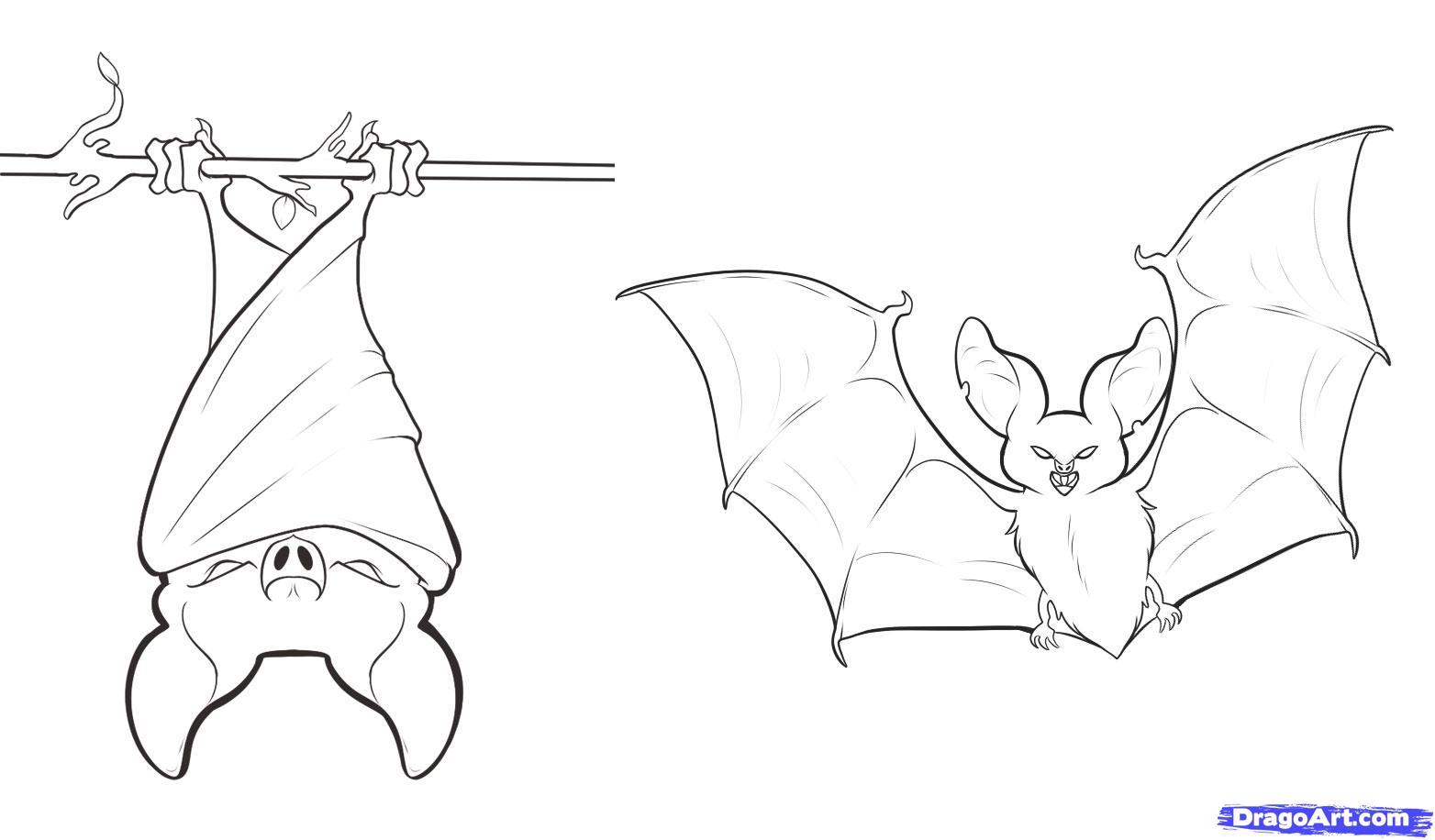 How to Draw Bats Step by Step forest animals Animals FREE