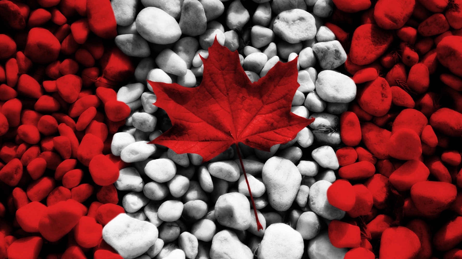 Maple Leaf Canada #7003234