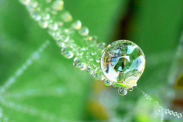 40 Awesome Examples Of Water Drop Photography | Photography 