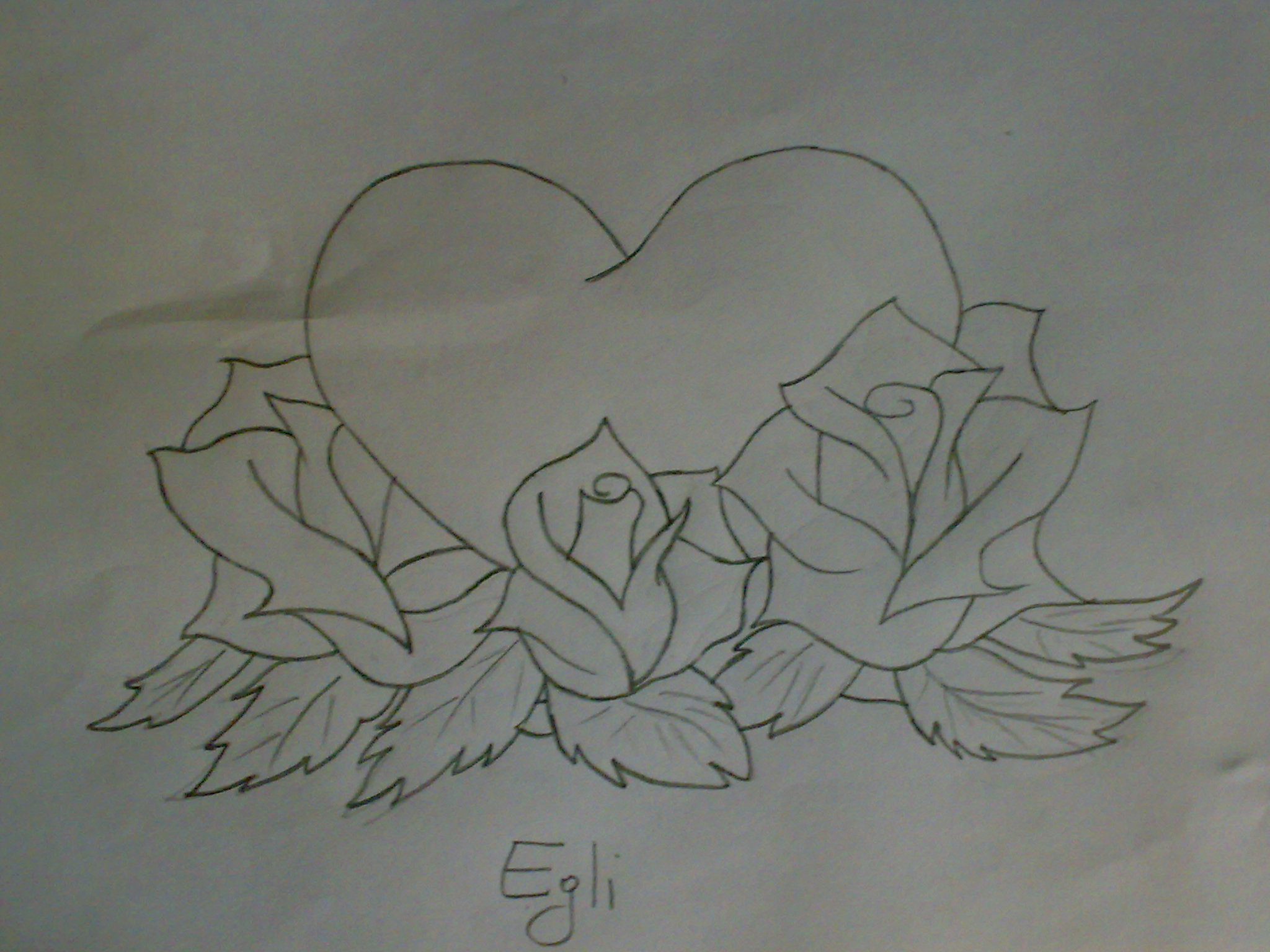 Featured image of post Pencil Rose Drawing Simple - Hand drawn floral elements for your design.