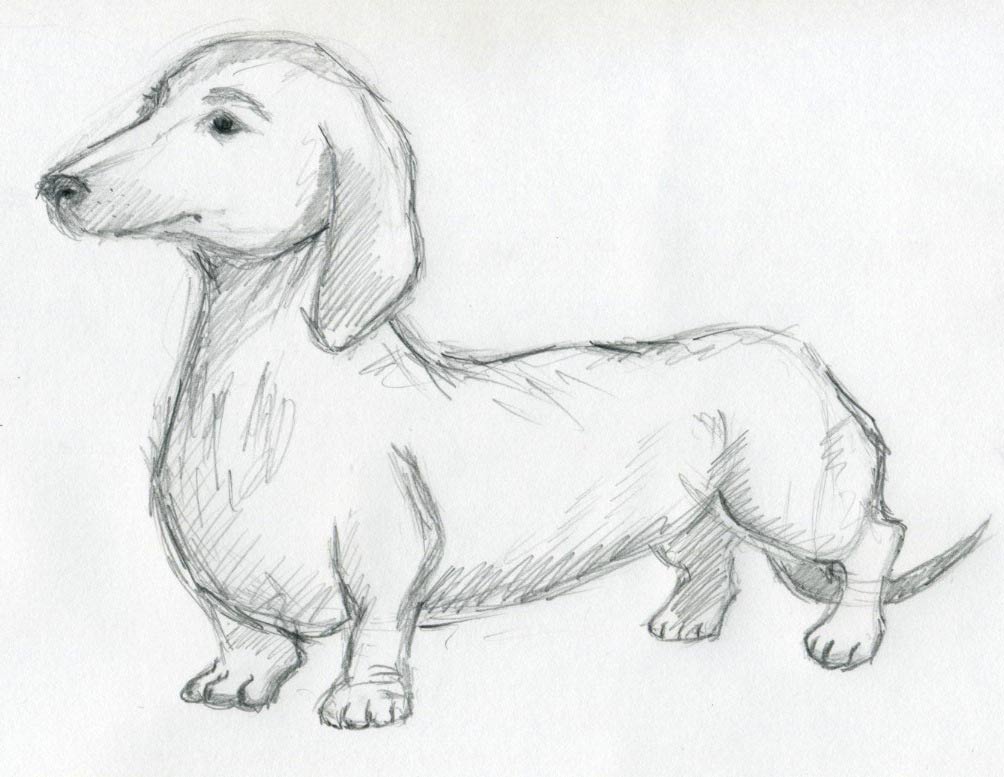 Free Drawing Of A Dog Download Free Drawing Of A Dog Png Images Free 