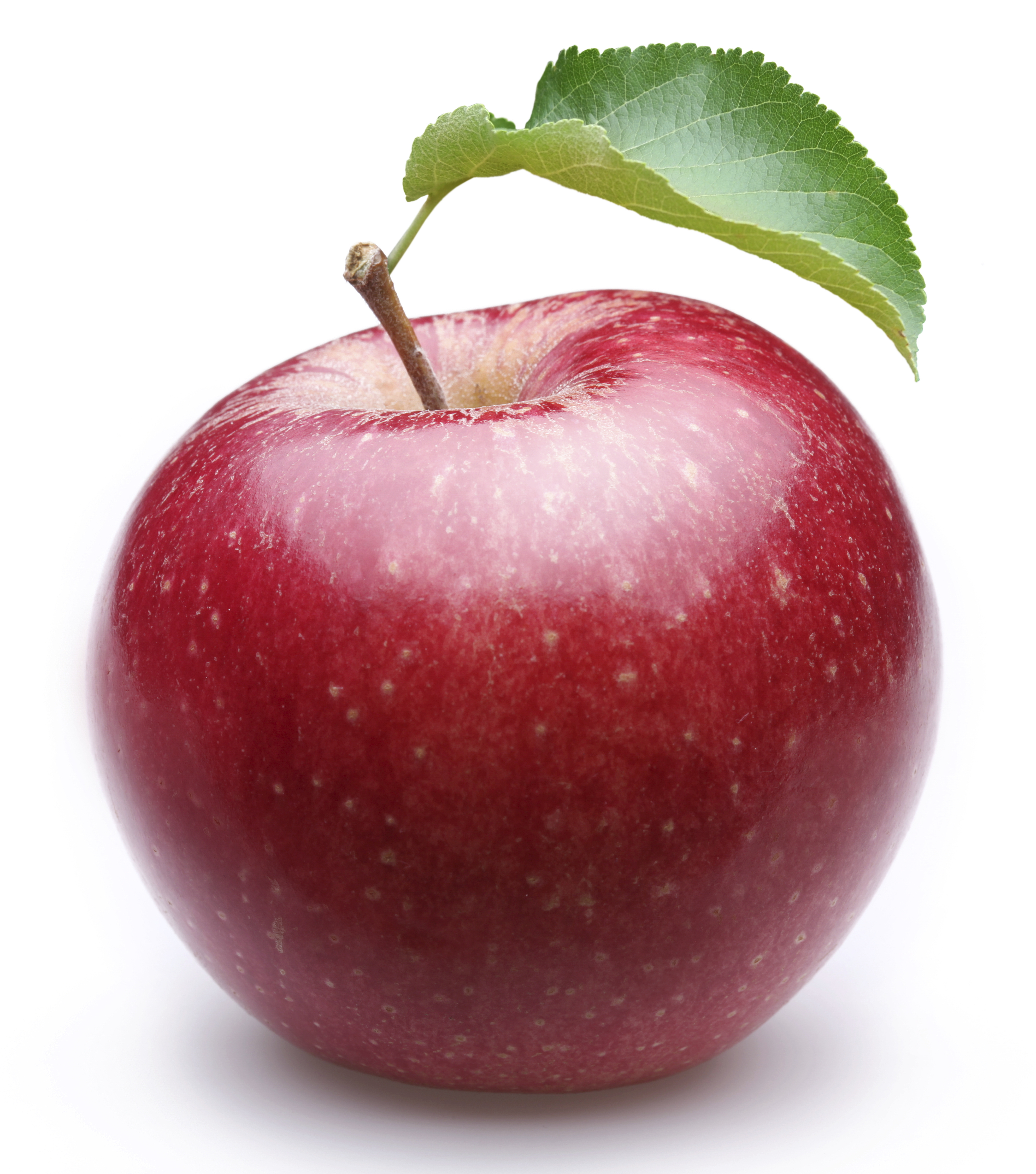 Free Apple Download Free Apple Png Images Free ClipArts On Clipart Free Apple Download Free Apple Png Images Free ClipArts On Clipart