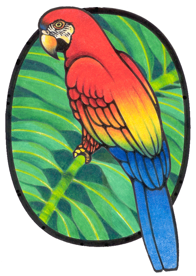 Parrot Graphics and Animated Gifs. Parrot