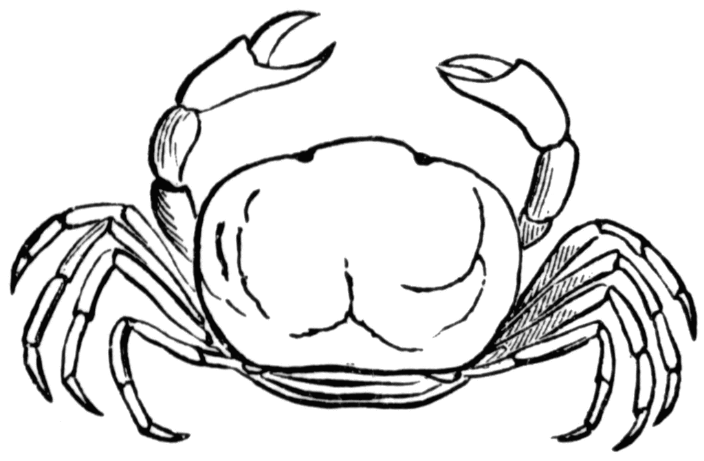 Crab Clip Art Black And White