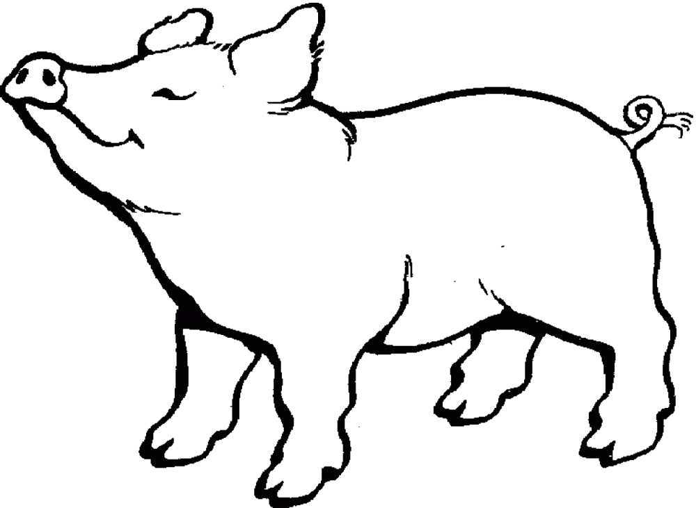 Pig-Animal-Coloring-Sheet