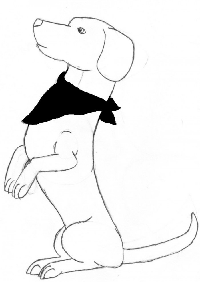 dachshund puppies coloring pages - photo #8