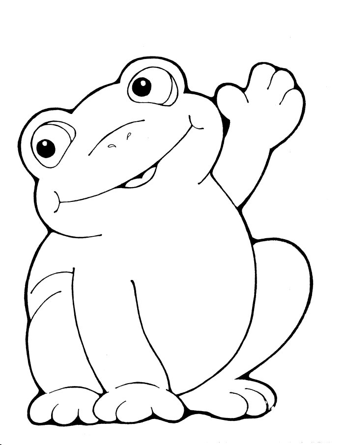 frog-02