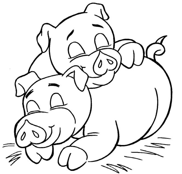 My Pig ClipArt - Page 3