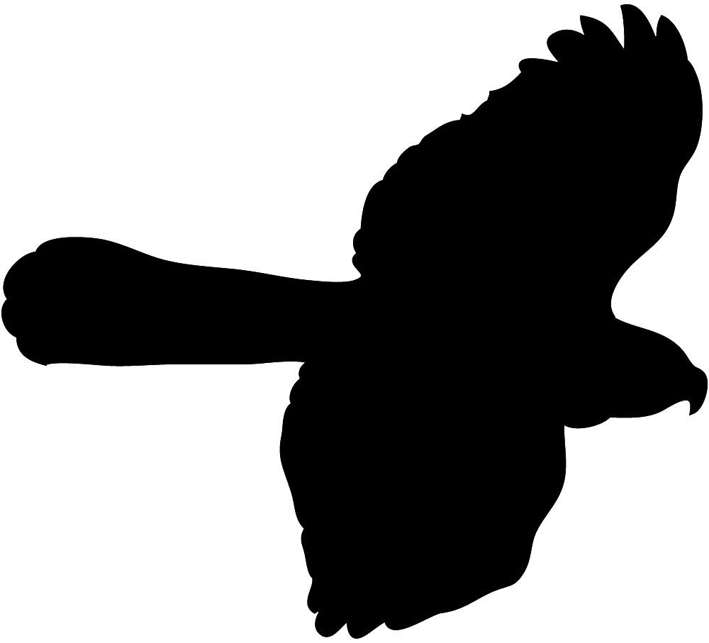 Images For  Flying Dove Silhouette Outline