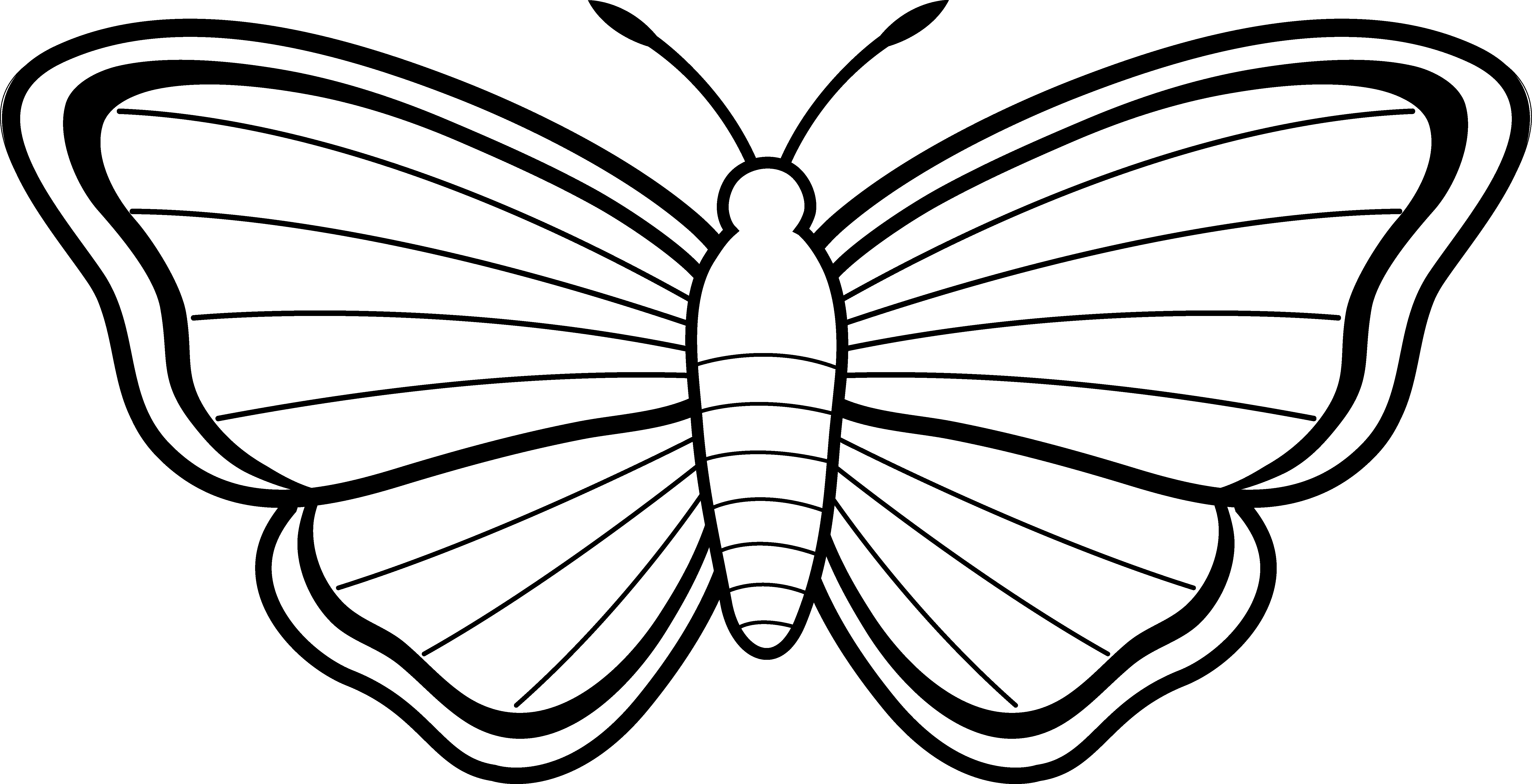 Black and White Moth Design - Free Clip Art