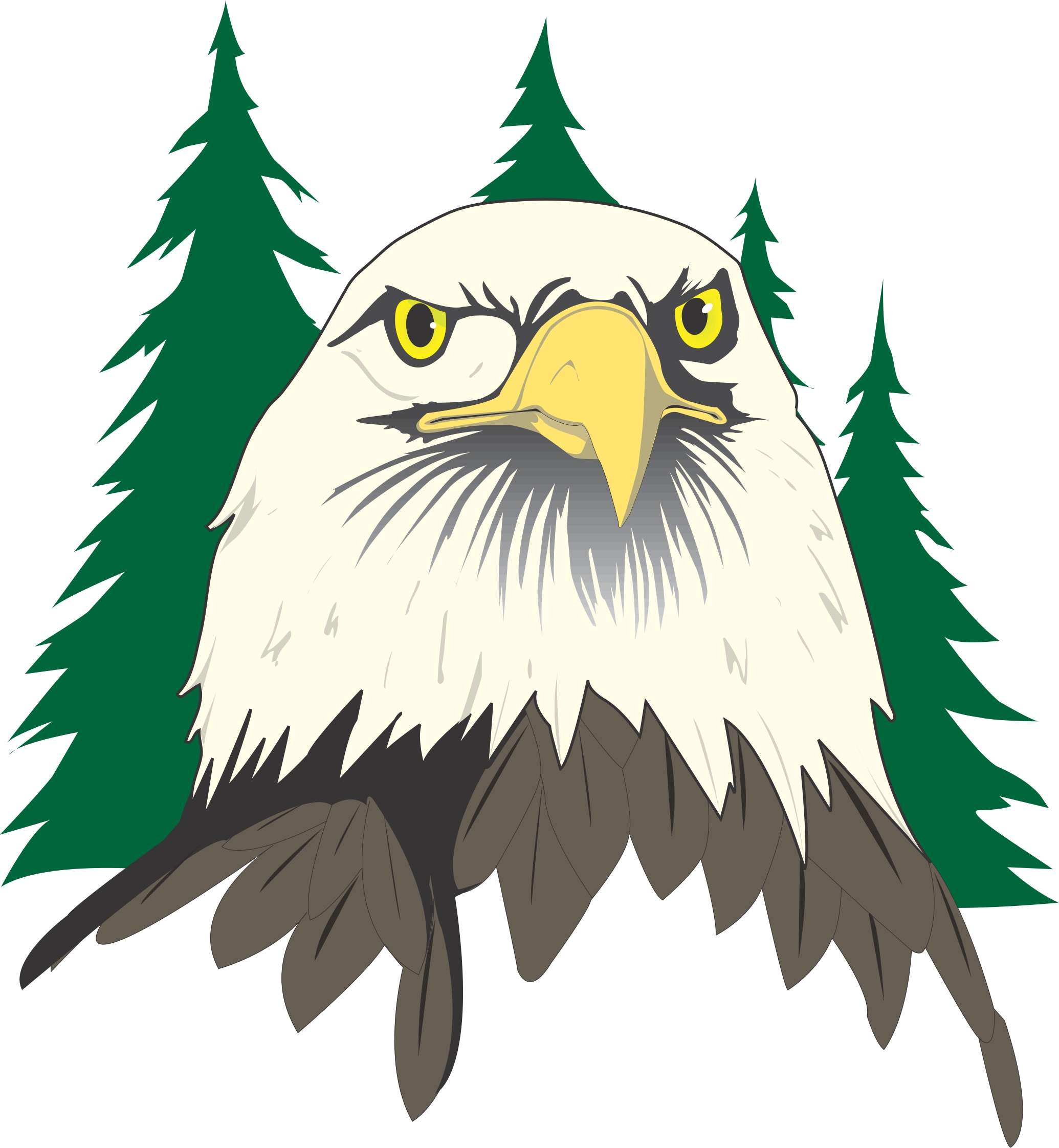 Cartoon Eagle Head Clip Art Vector Online Royalty Free on 