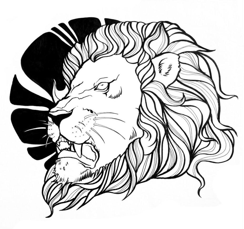 Free Lion Line Drawing Download Free Lion Line Drawing Png Images