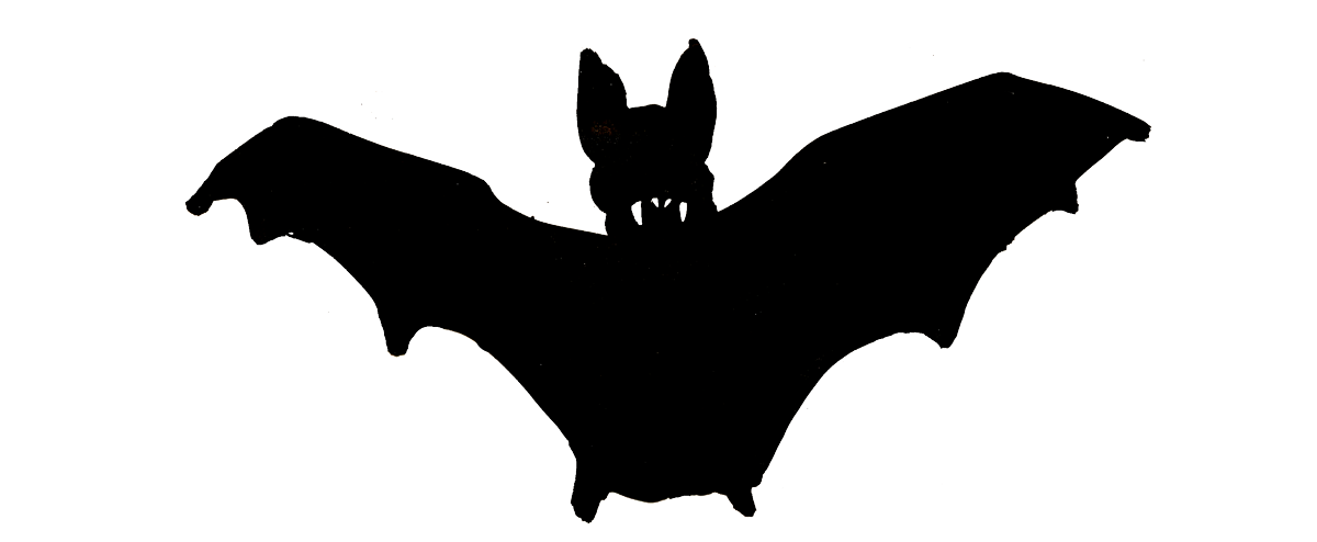 76: Vampire bat | WELCOME FRIEND