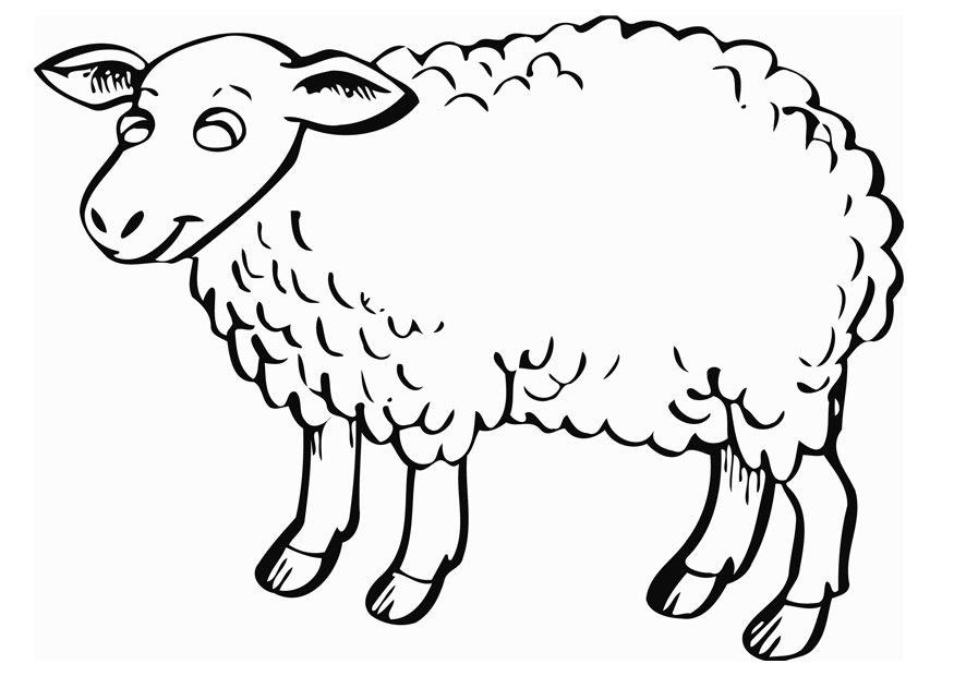 Clip Arts Related To : sheep in clipart in black and white. 