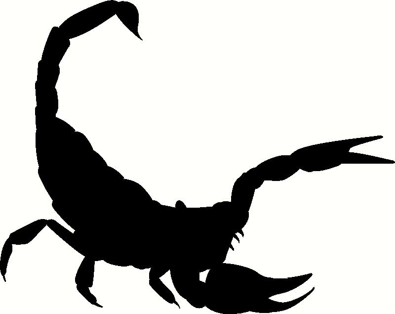 Scorpion Silhouette Vinyl Decal | Animals Vinyl Decals