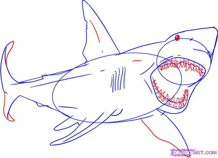 Clip Arts Related To : draw a shark step by step for kids. view all How To...