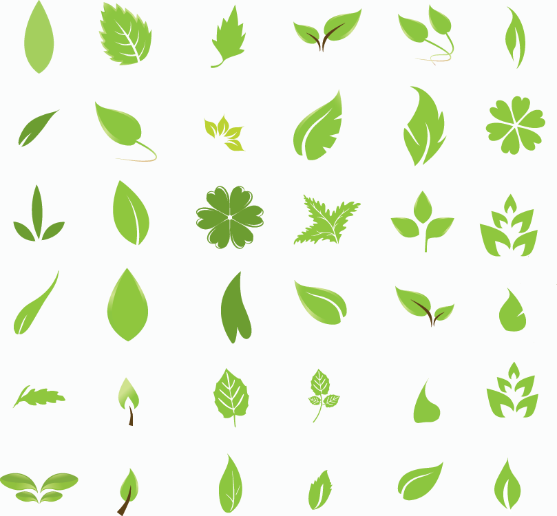 Green vector leaves - Free Vector Download |